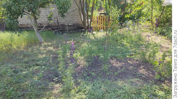 Так и клумбу стало видно