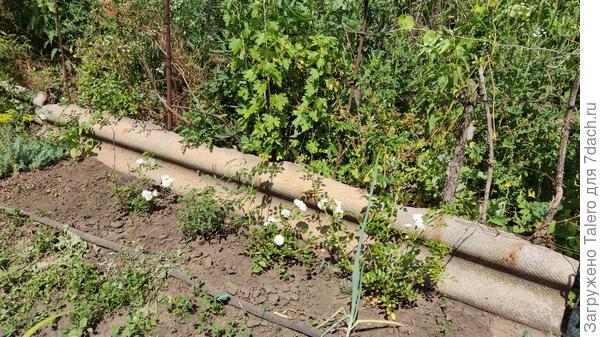 К этим, например!