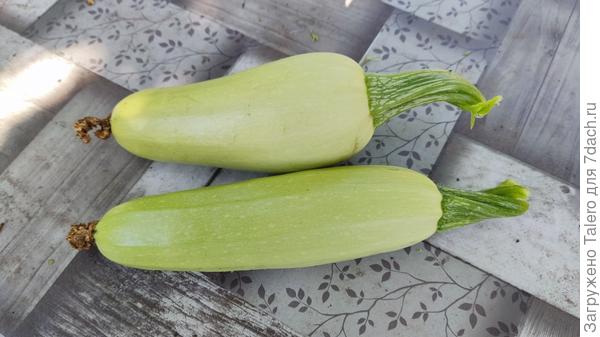 Третий никак не вырастет