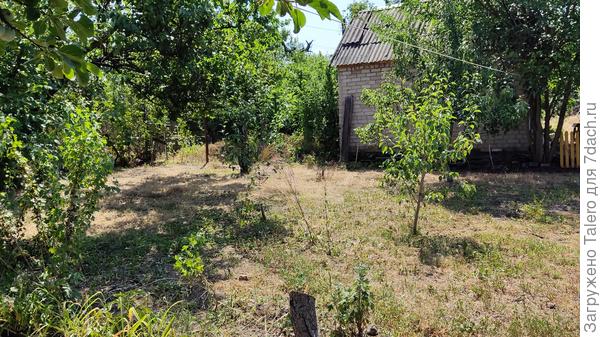 Прошлого покоса хватит надолго!