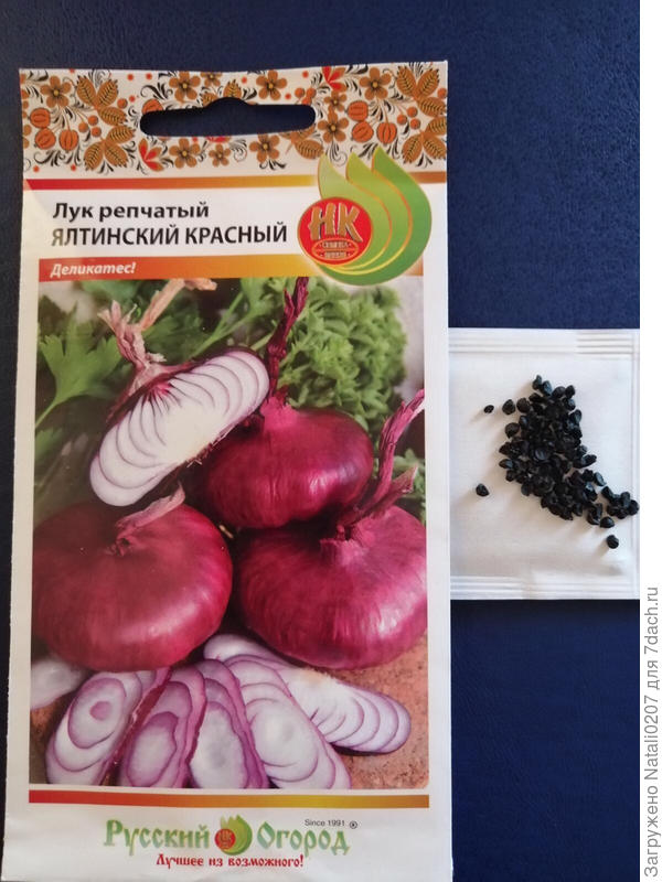 Семена лука