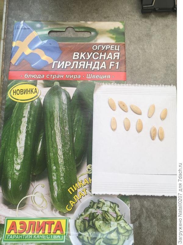 семена огурцов "Вкусная гирлянда F1"