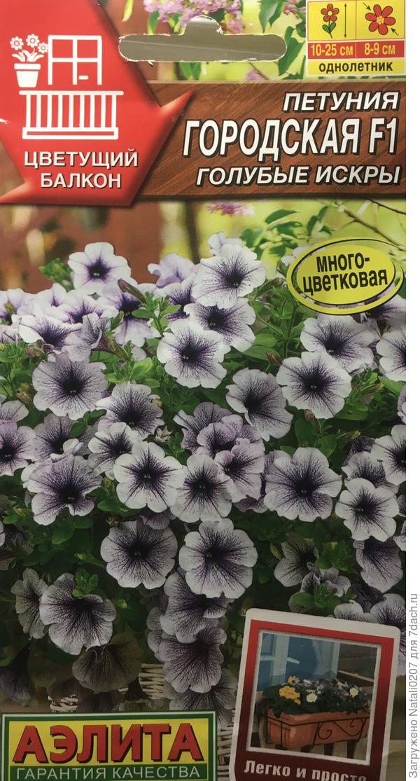 Петуния городская F1 “Голубые искры»