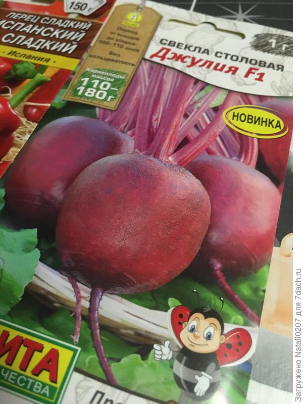 Свекла