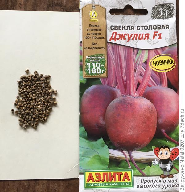 Семена свеклы