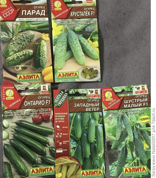 Опять овощи