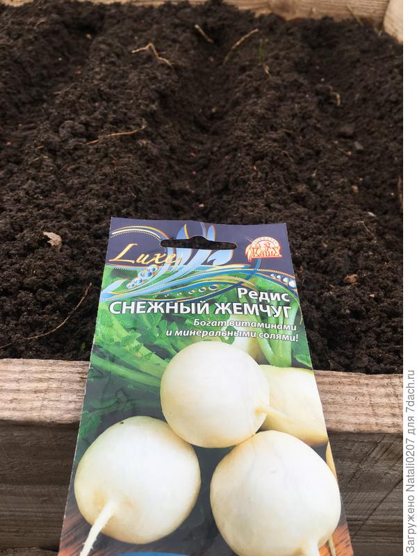 Посев редиса "Снежный жемчуг"