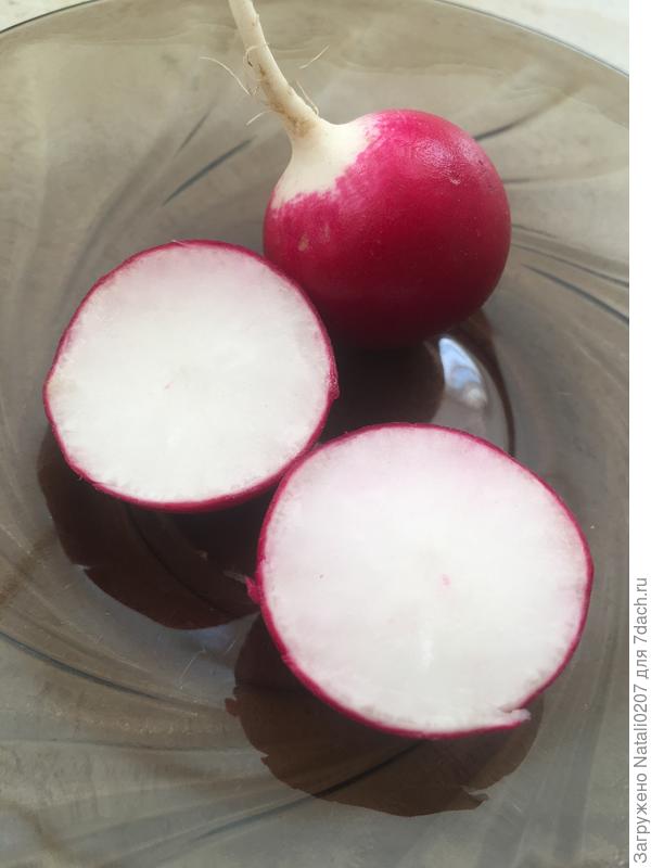 редис в разрезе