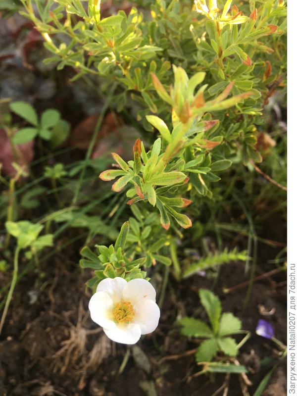 И что это из заказанного?