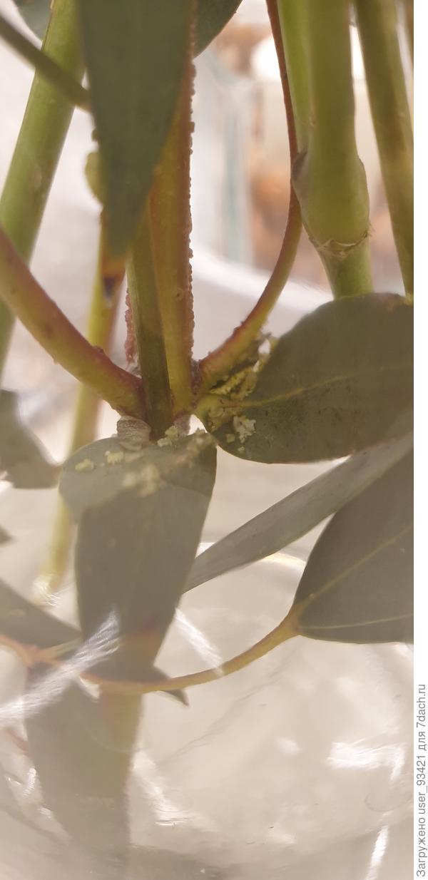 Неизвестный