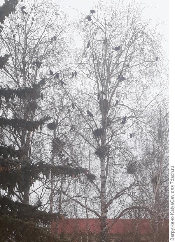 Ребята прилетели, уже домики "налаживают", а мы ждём от них "подарков" на одежде и машинах )))