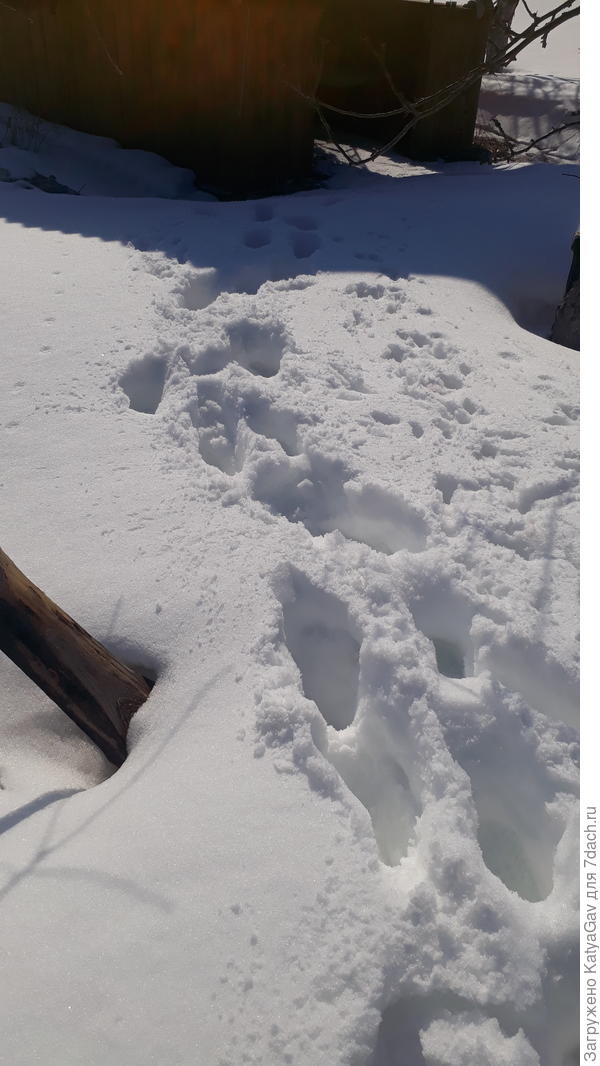 А снега ещё ого-го!