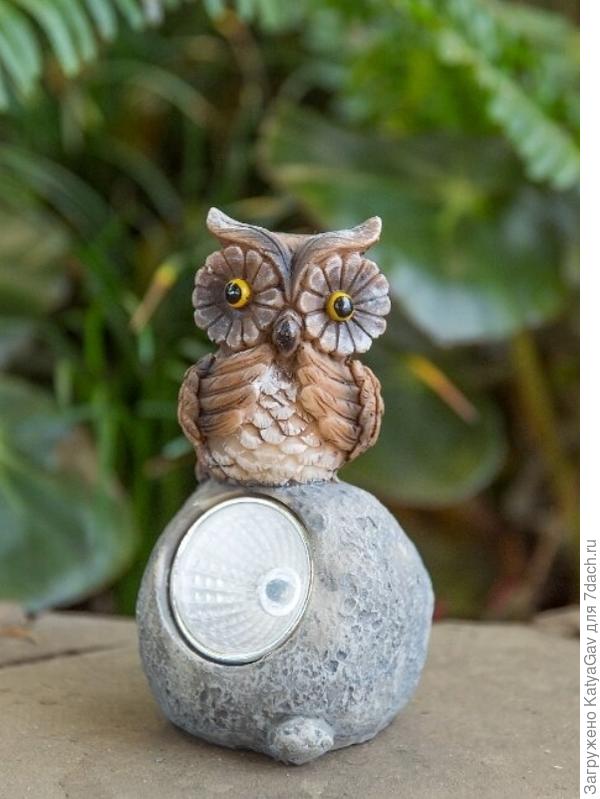 Фото из интернета