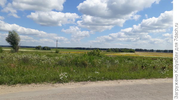 Сколько оттенков цветов! :)