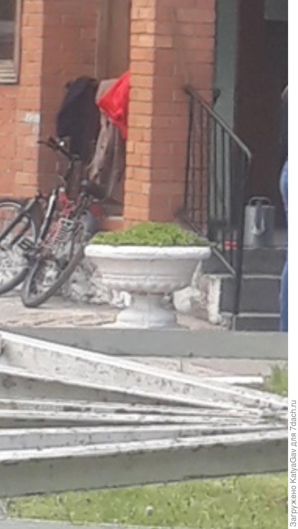 Прошу прощения за качество, увеличено из другого фото...