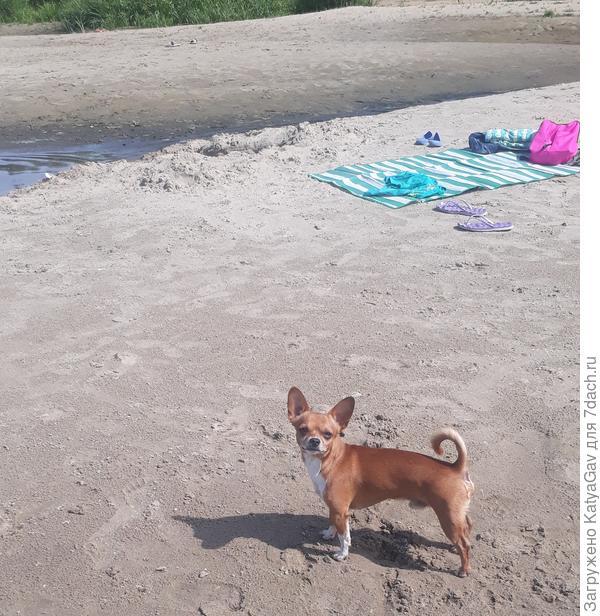 Гаррик подтверждает :)