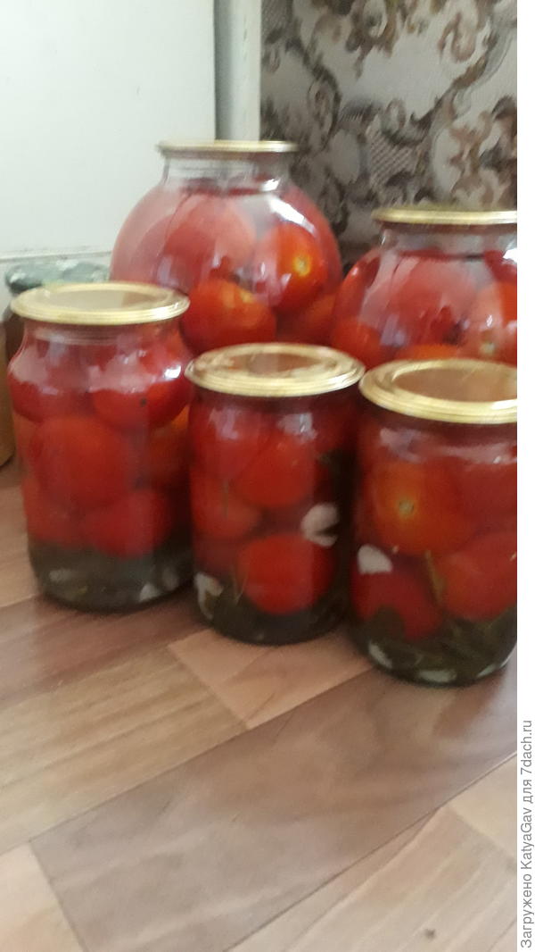 Закатала немножко помидорок с базиликом и петрушкой