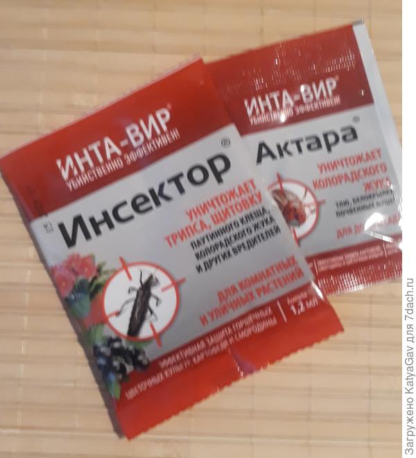 Будем бороться с вредителями!
