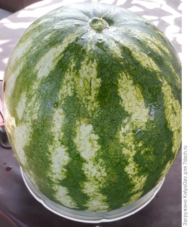 Он же )