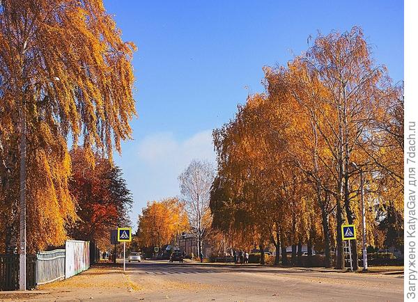 Улица посёлка