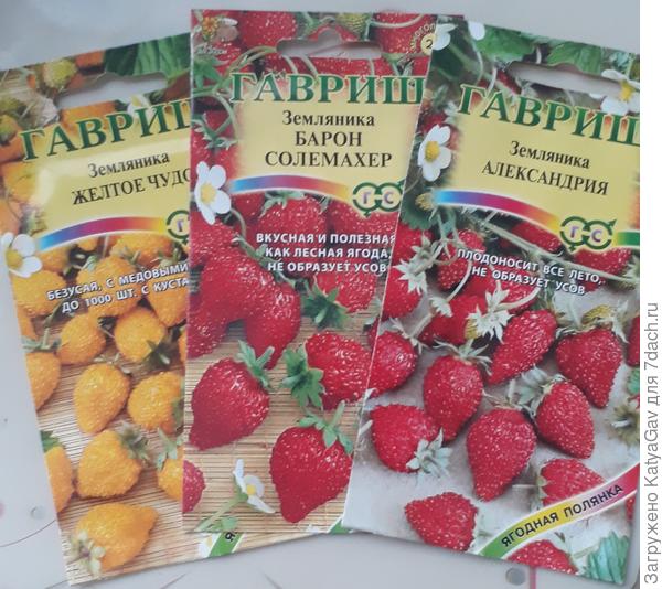 Выбрала такие семена