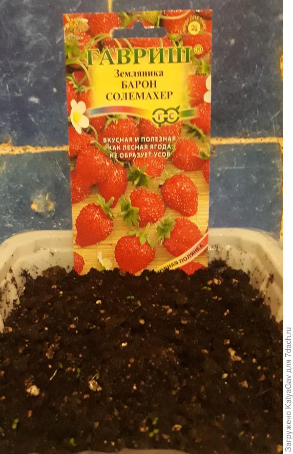 Если приглядеться, видно малышей :)