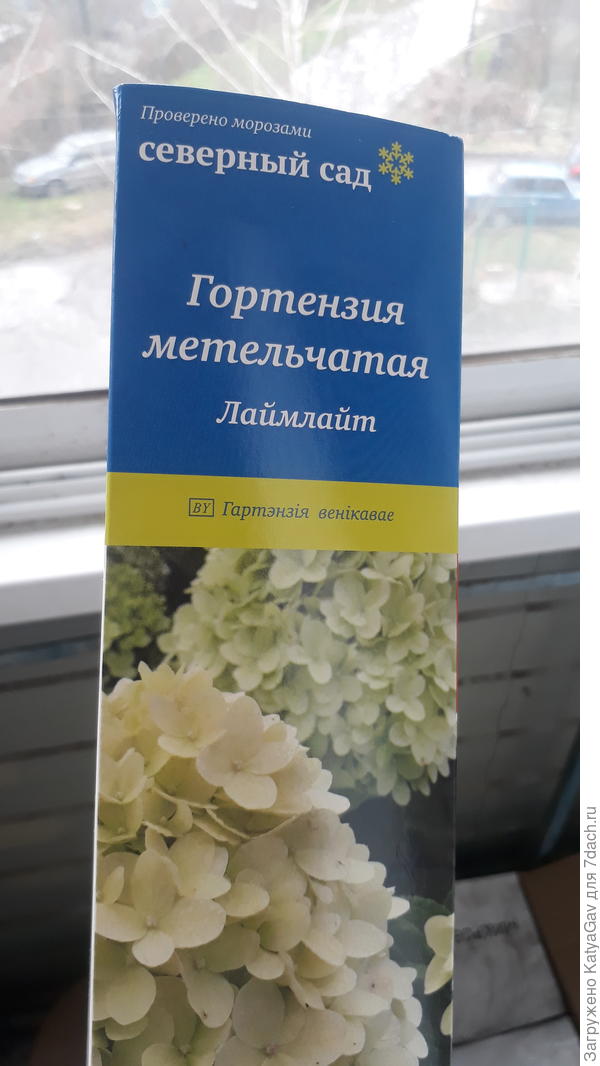 Вот, пристраиваю на балкон. Только что сфоткала