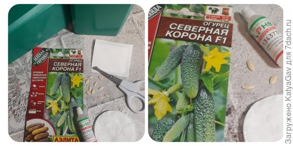 Северная корона