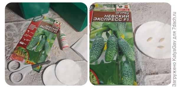 Невский экспресс