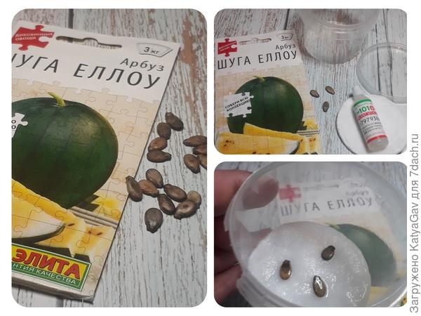 Приступаем...