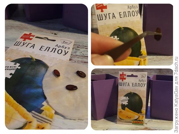 Посев семян арбуза "Шуга Еллоу"