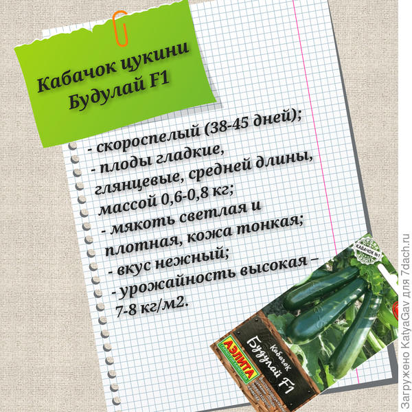 Длрр