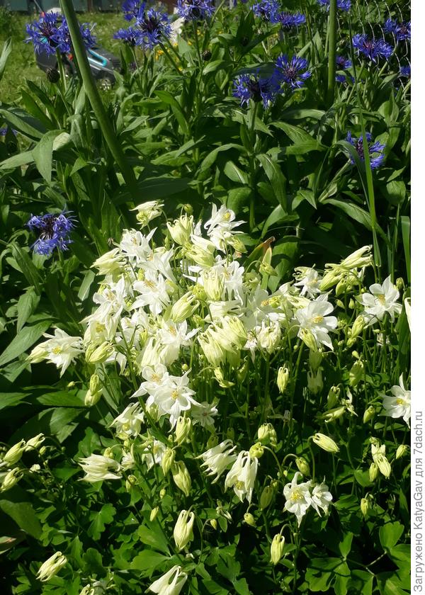 На солнышке...