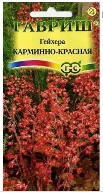 Фото из интернета