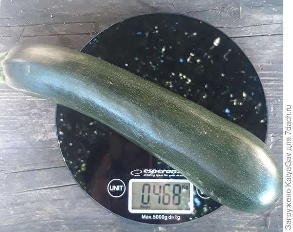 Первый Будулайчик