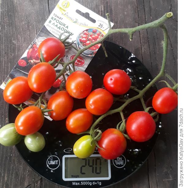 Двойная кисть весом 240 гр.