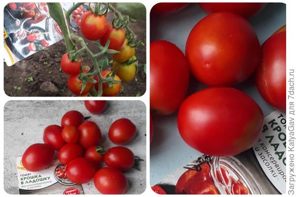 "Крошки" внешне привлекательны