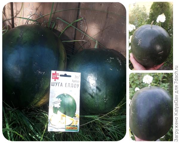 Почувствуйте разницу )))