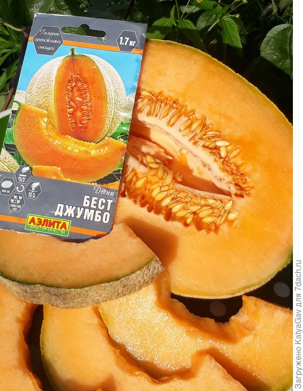 Очень сочная мякоть!