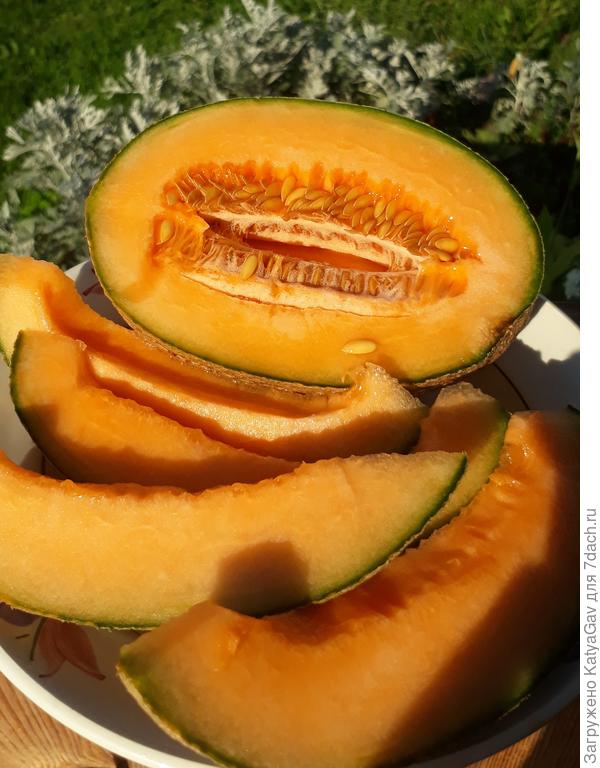 Мякоть ярко-оранжевого цвета