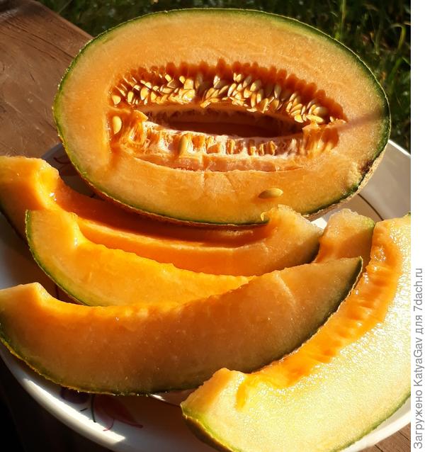 Вкусное лакомство!