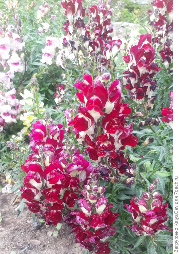 День и ночь