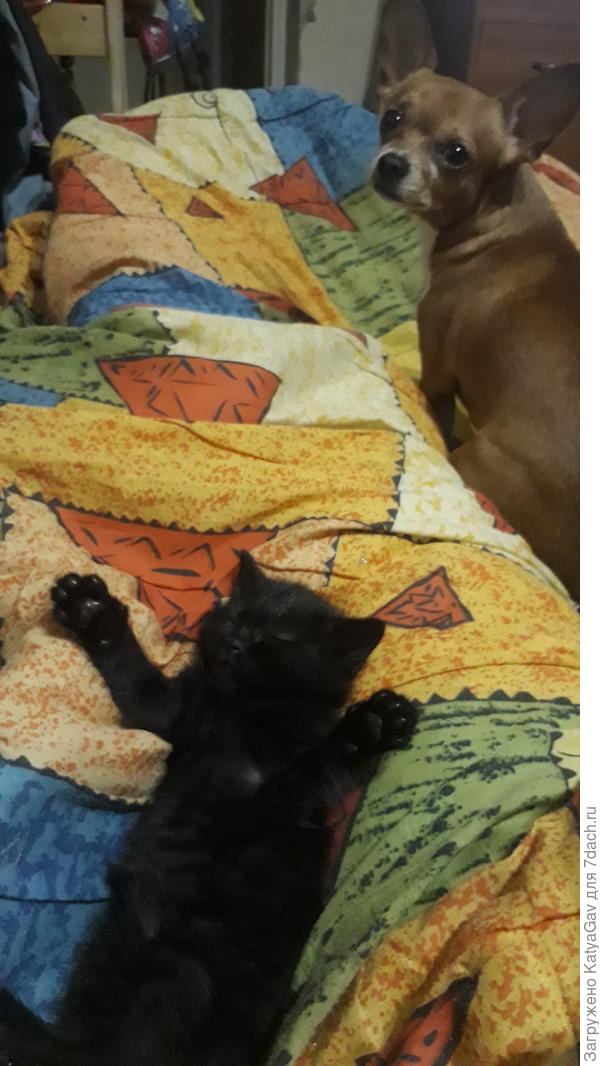 Взгляд у Гаррика такой укорзненный, мне кажется.