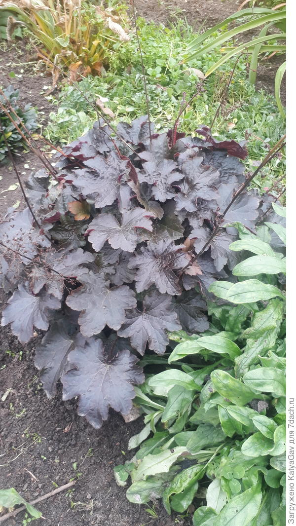 Вот же они висят!!!