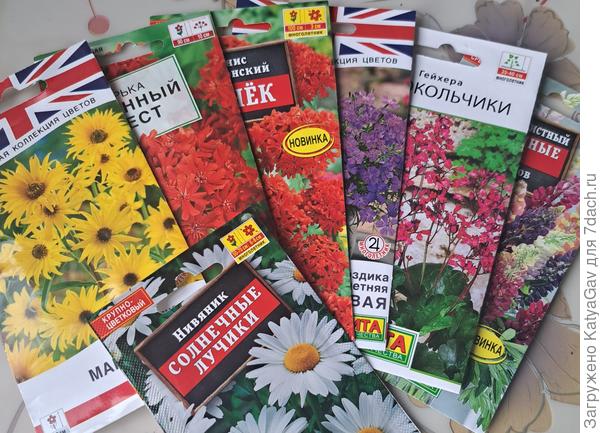 Многолетников не много...