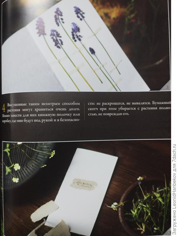 Ботанические конверты