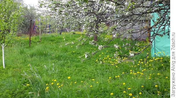 Такое море?)