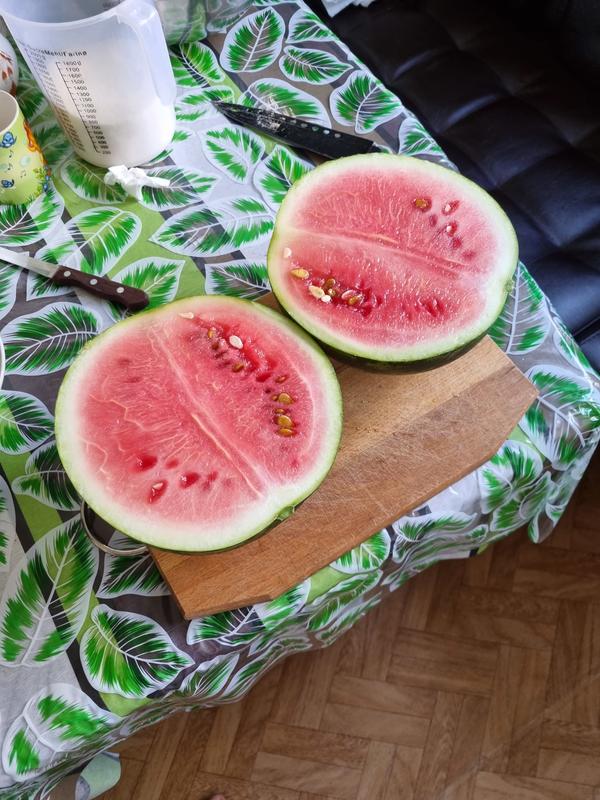 Сангрия в разрезе