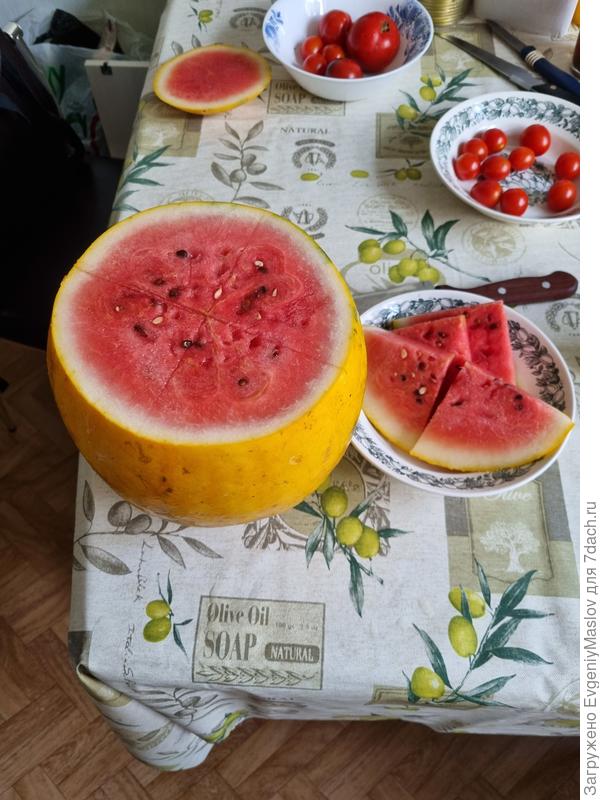 Медовый шар в разрезе.