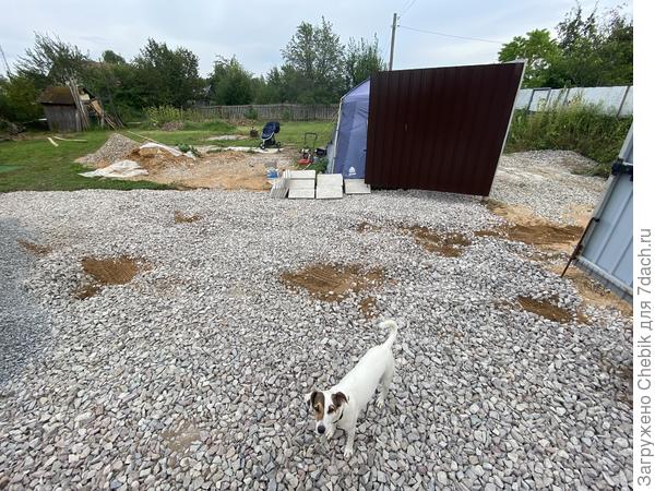 Выехала газель